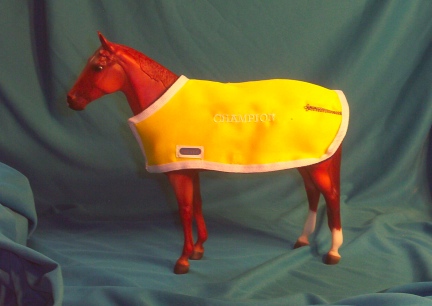 Prancer In American Royal Coat